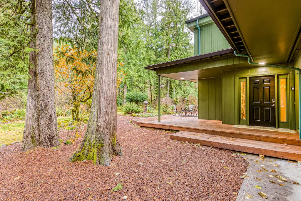 Remodeled home with large yard & kitchen in lovely forest setting - dog-friendly