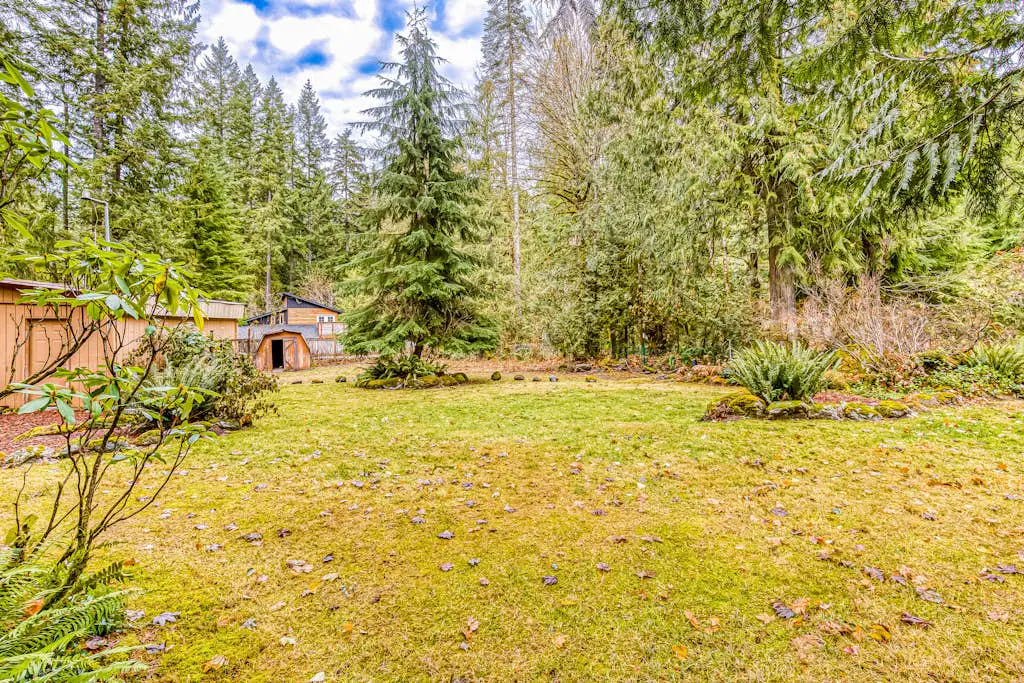 Remodeled home with large yard & kitchen in lovely forest setting - dog-friendly