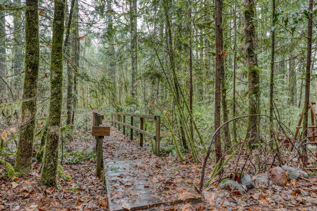 Charming, riverfront cabin with fireplace - dog-friendly