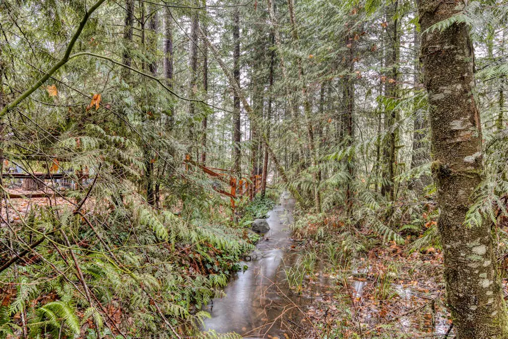 Charming, riverfront cabin with fireplace - dog-friendly