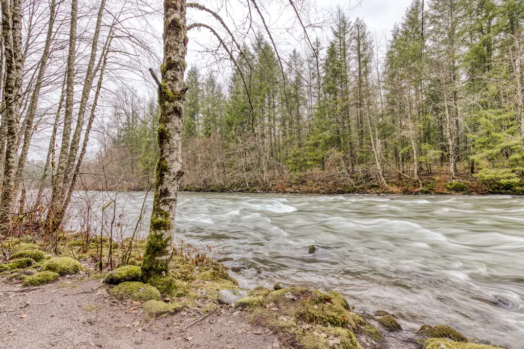 Charming, riverfront cabin with fireplace - dog-friendly