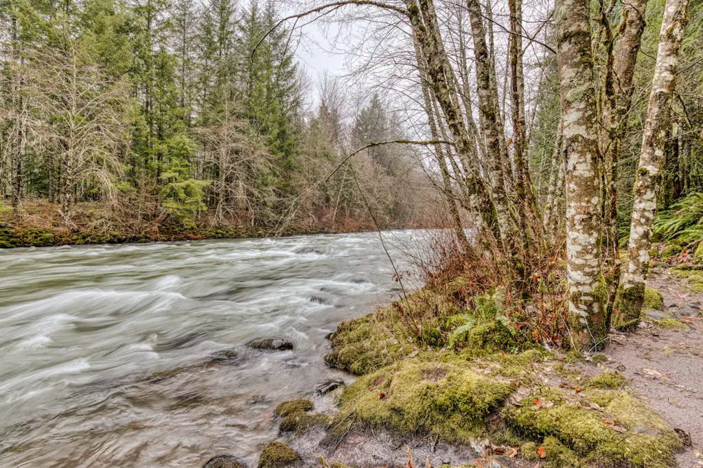Charming, riverfront cabin with fireplace - dog-friendly