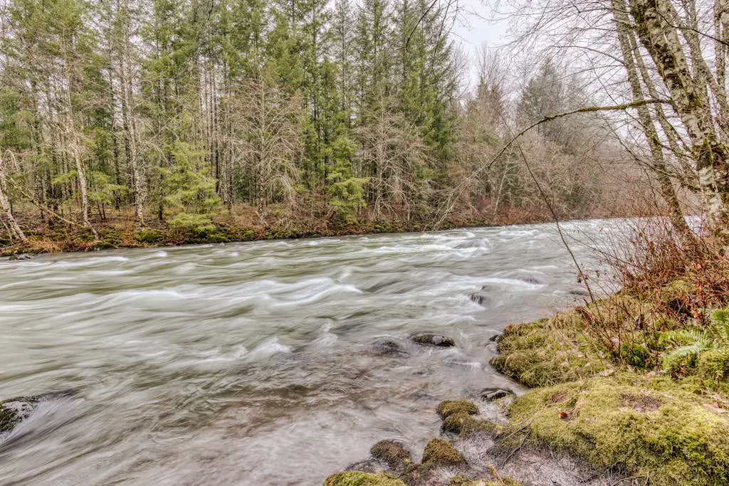 Charming, riverfront cabin with fireplace - dog-friendly