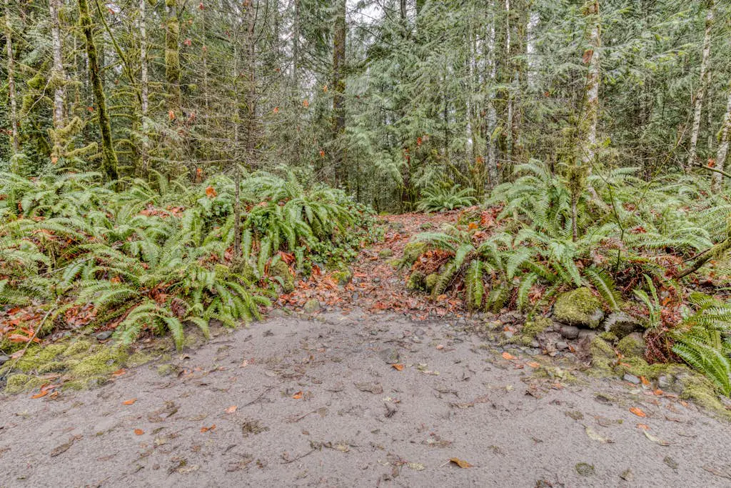 Charming, riverfront cabin with fireplace - dog-friendly
