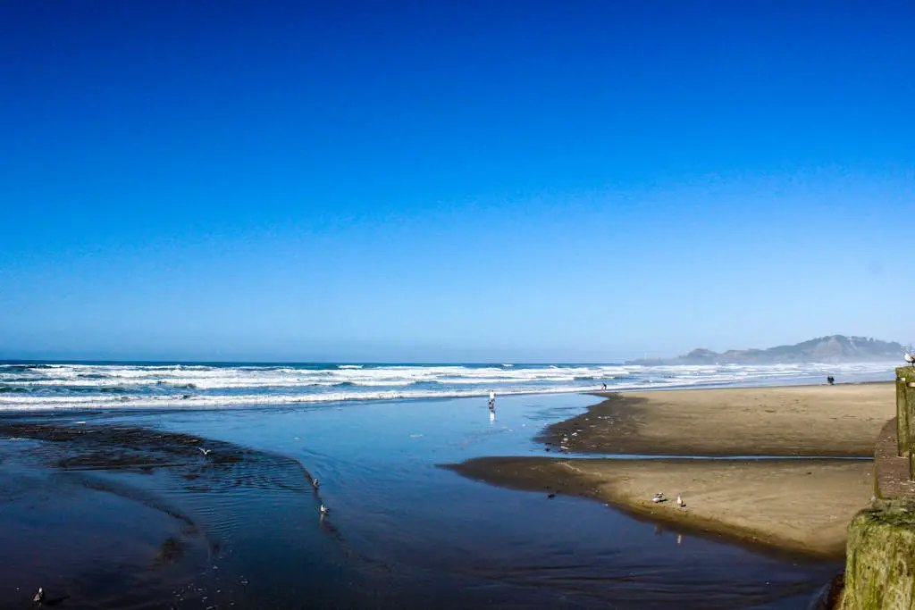 Charming Dog-Friendly Condo with Ocean View - Close to Beach & Nye Shops