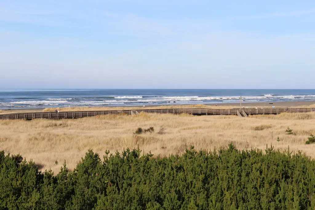 Boardwalk Adventures