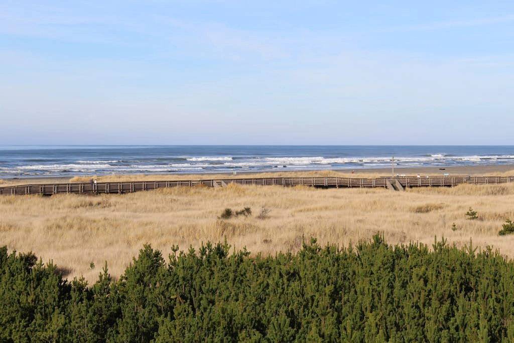Boardwalk Adventures