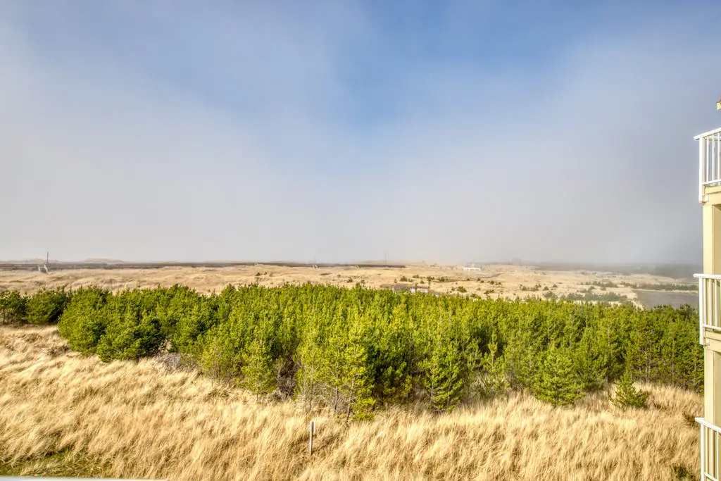 Boardwalk Adventures