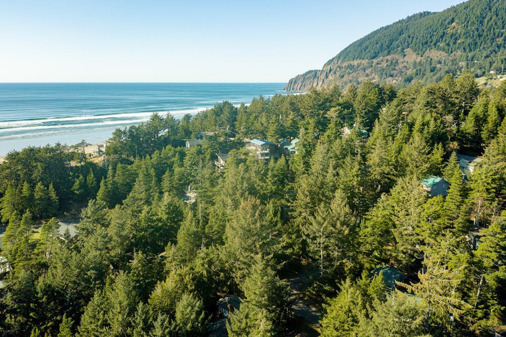 2-story dog-friendly 1 block from the beach with deck, patio, gas fireplace, W&D