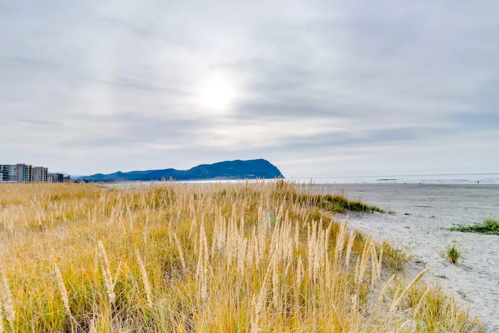 Seaside Haven
