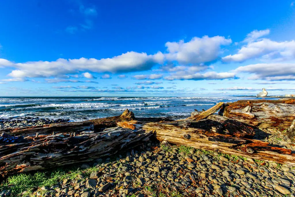 Seaside Haven
