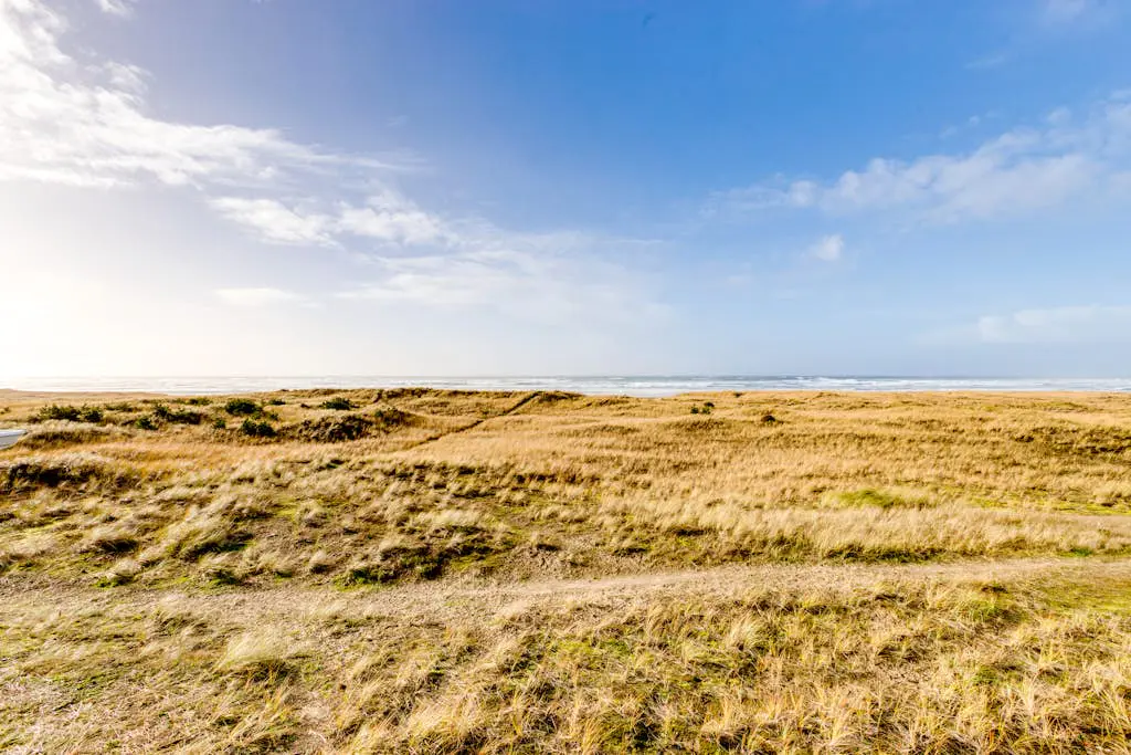 Frannie's Beachfront