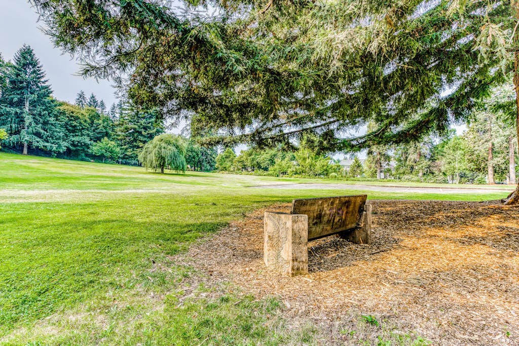 Downtown studio - walk to University - full kitchen, dog-friendly, washer/dryer