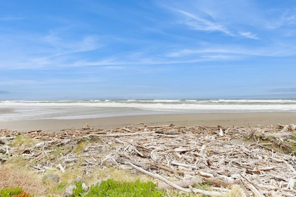 Oceanfront condo with spectacular ocean view - walk to beach