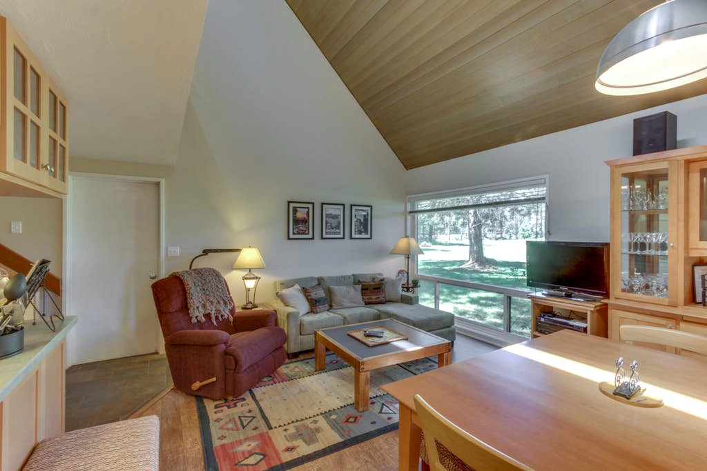 Mt View Condo 06