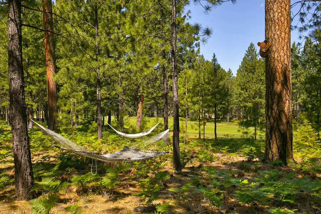 A modern mountain retreat designed for gathering, comfort and connection