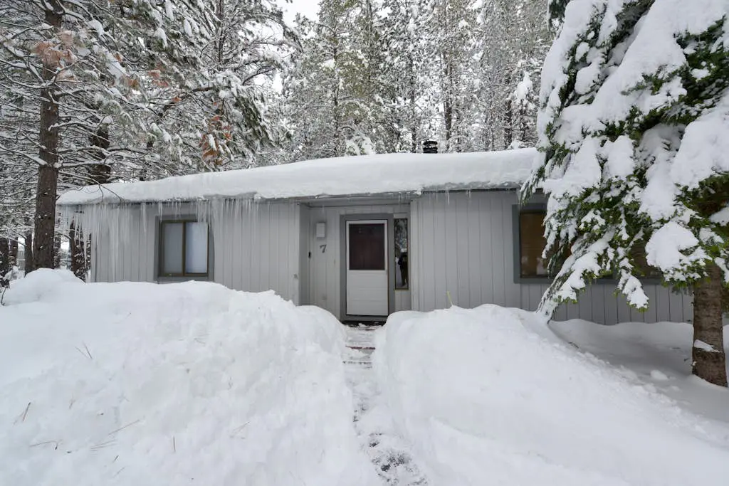 Dog-Friendly Cabin Close to the Village - SHARC Passes Included