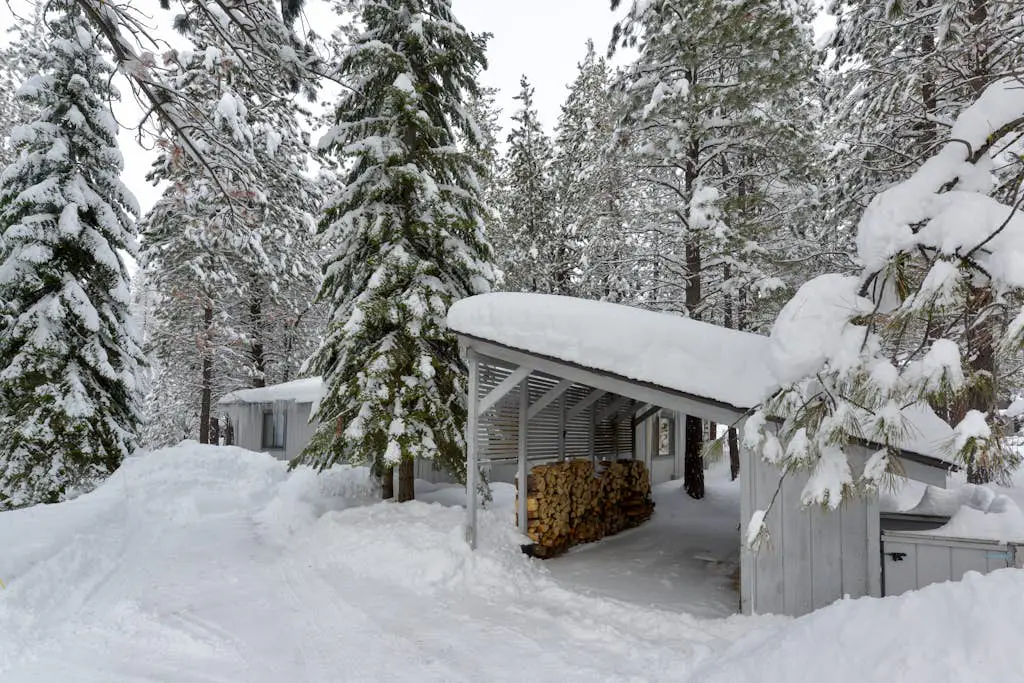 Dog-Friendly Cabin Close to the Village - SHARC Passes Included