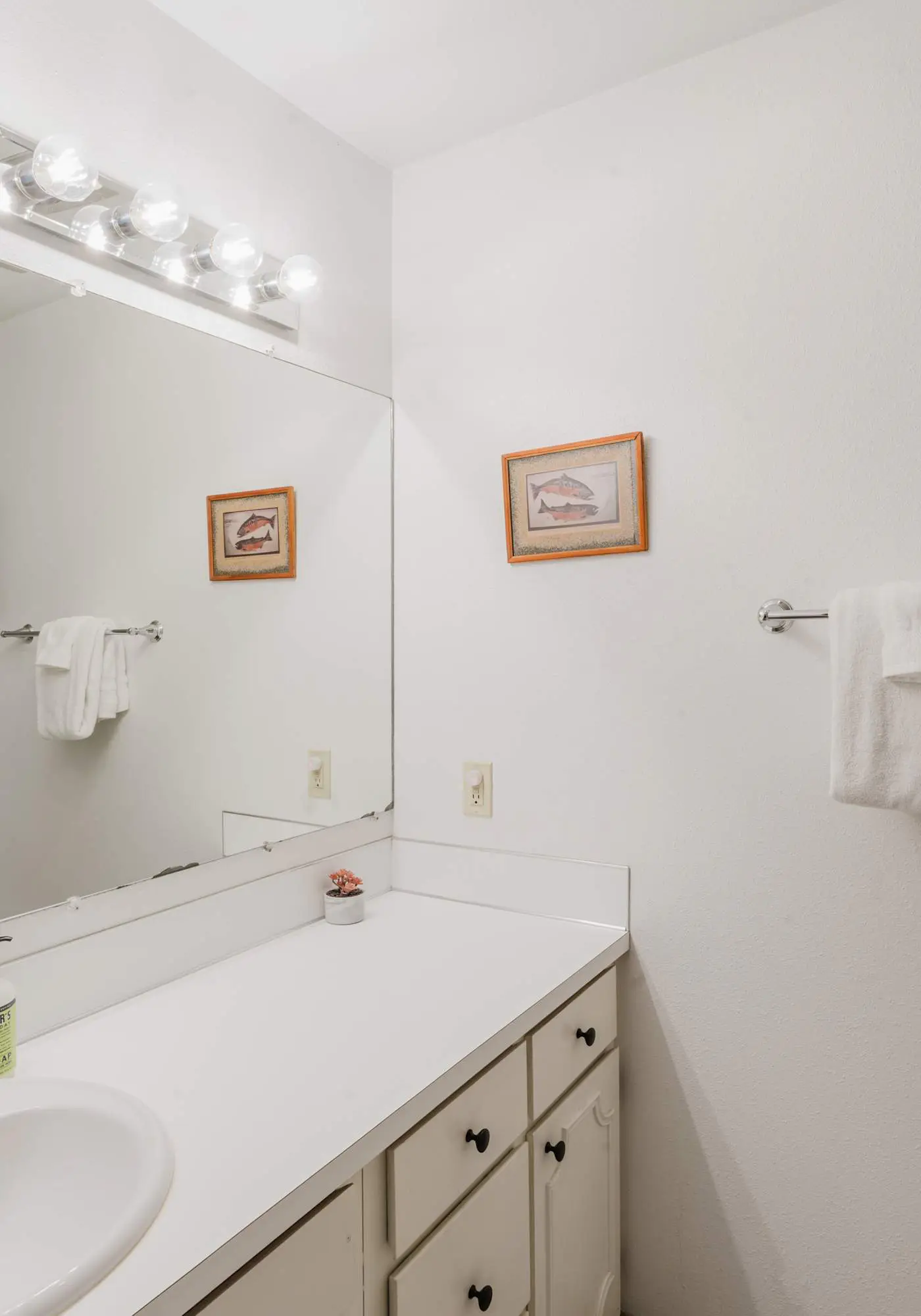 Delightful escape near downtown with shared pool & hot tub, rec room, & large deck