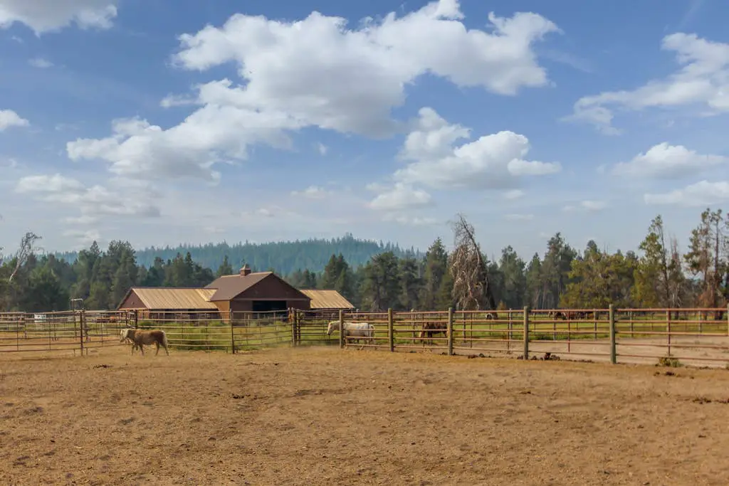 Dog-friendly home with private hot tub, pool access, & central AC - SHARC passes