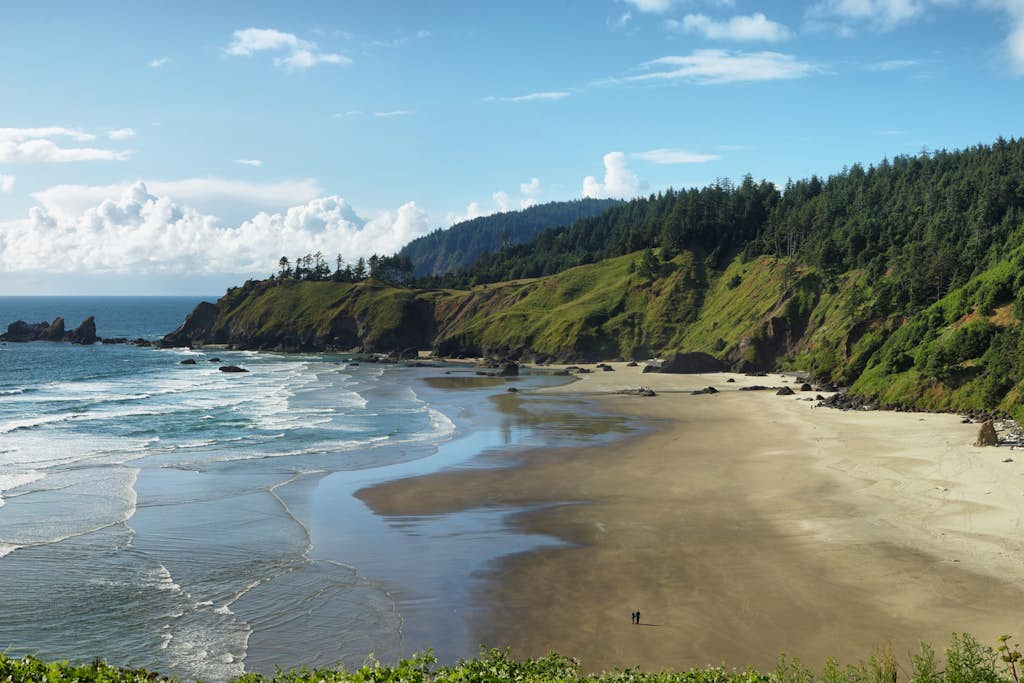 Beach getaway - sunny patio, modern kitchen, fast WiFi - walk to ocean, dogs ok