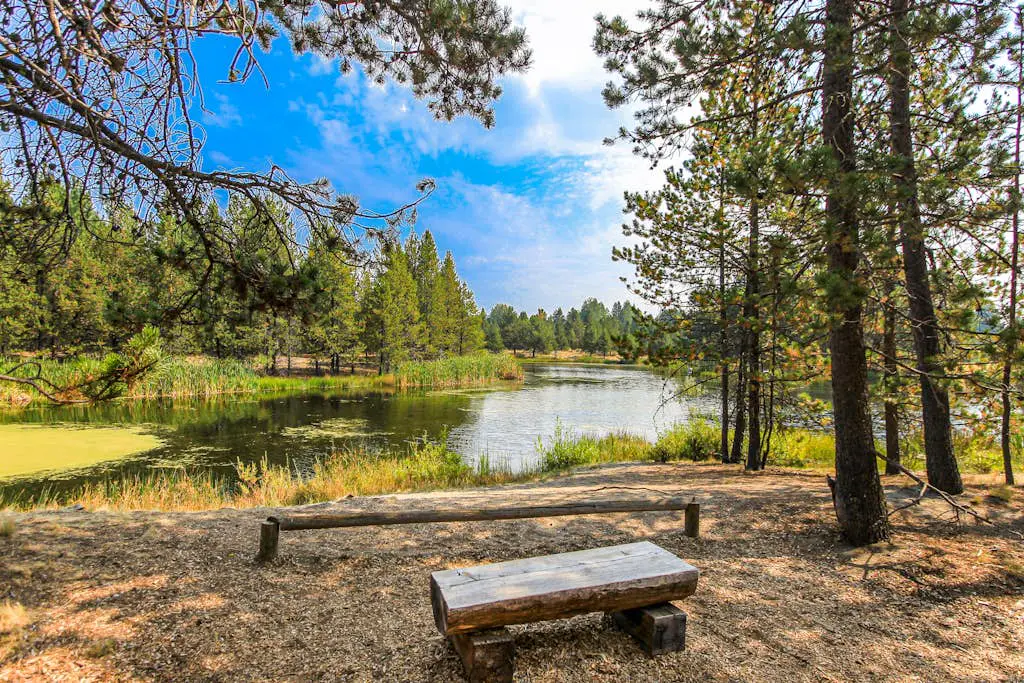 Charming home with fireplace, hot tub, WiFi, SHARC access, bikes