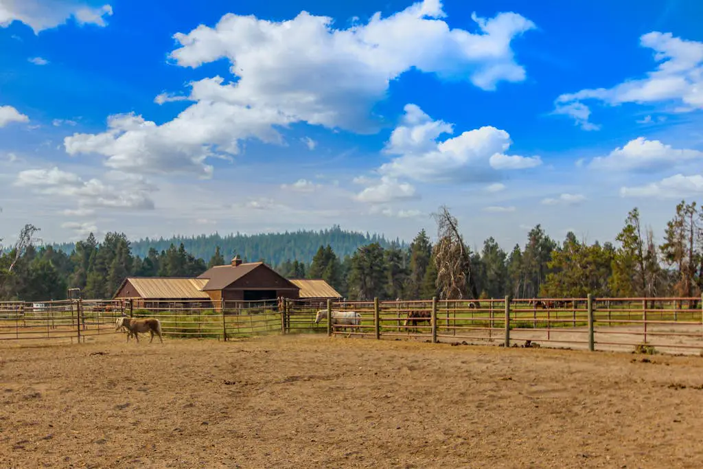 Charming home with fireplace, hot tub, WiFi, SHARC access, bikes