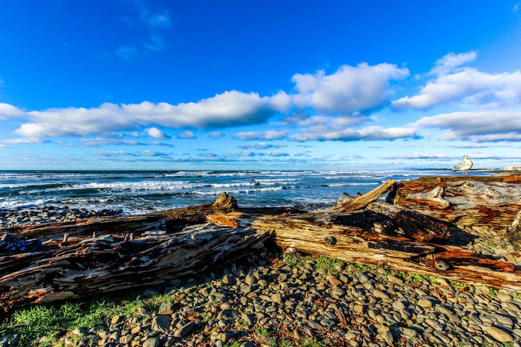 Dog-friendly home near the beach with large deck, yard & washer/dryer