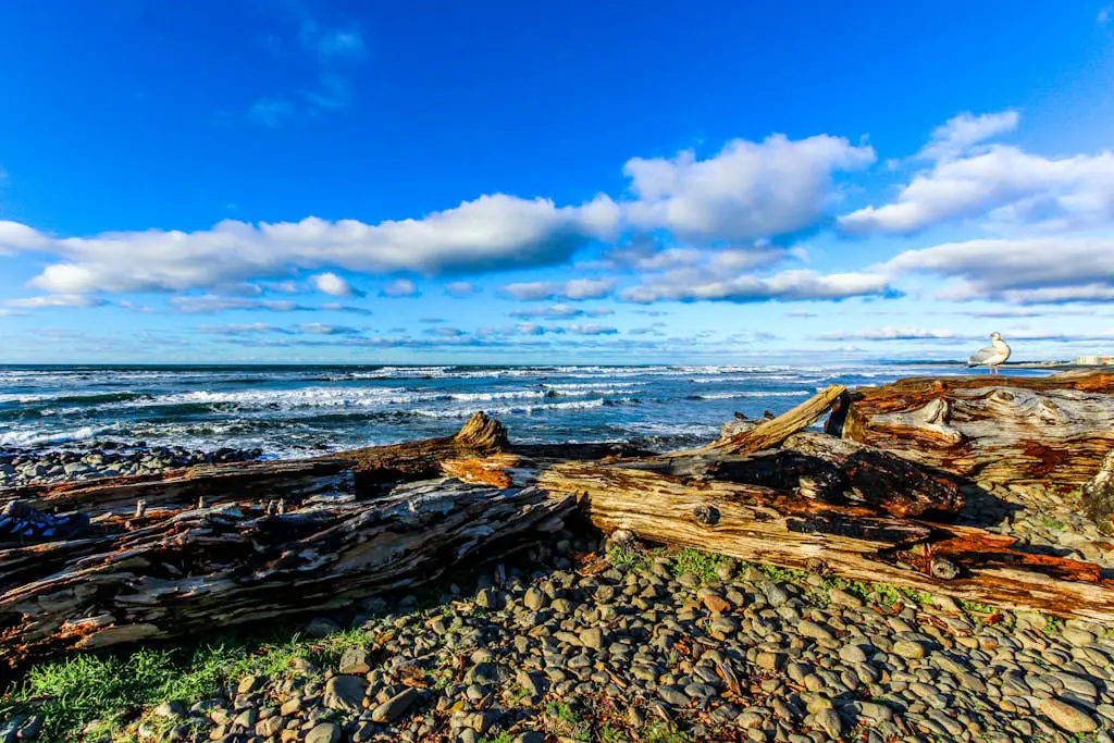 Seaside Turtle Terrace