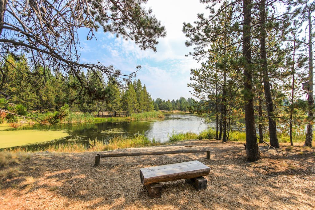 Family-Friendly Forest Hideaway with EVC, Bikes, & SHARC Passes - Walk to Park