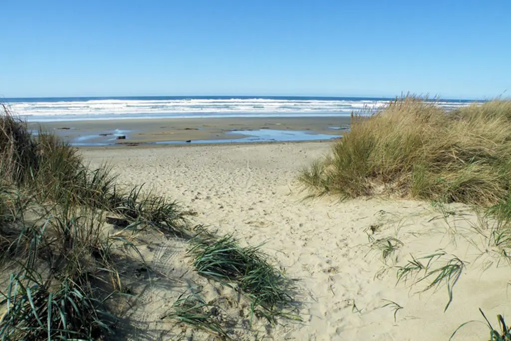 Cozy Cottage with Spectacular Ocean Views - Dog Friendly