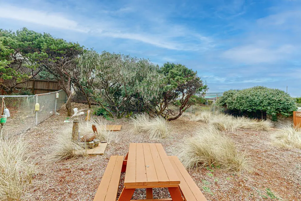 Lofty Pelican