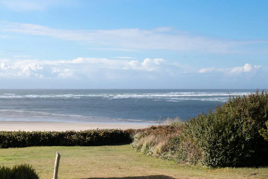 Alsea Sands