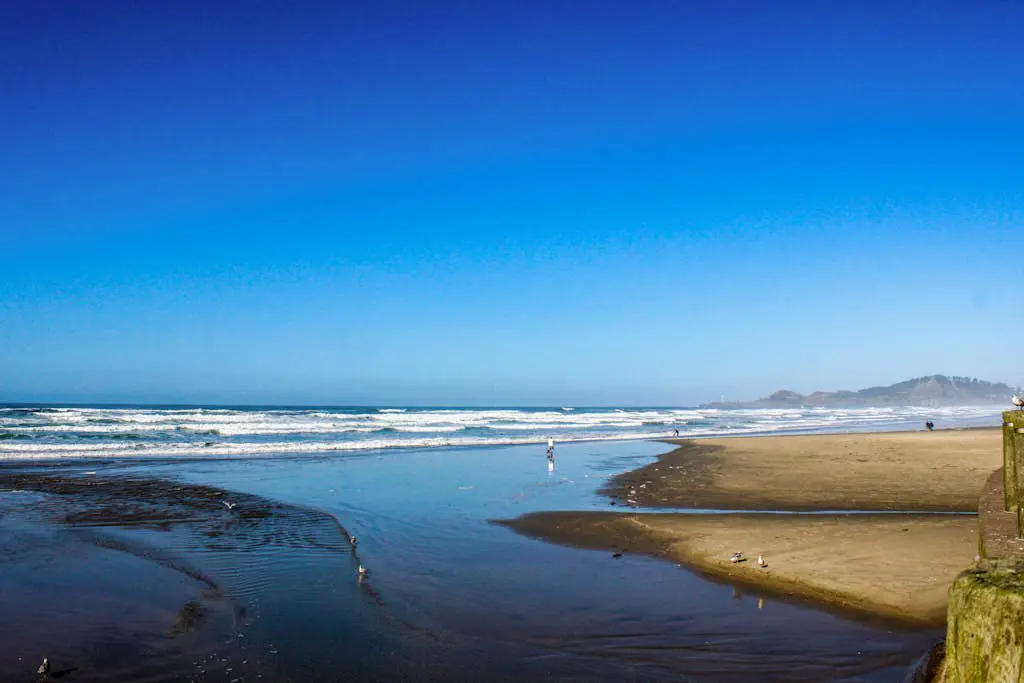 NYE Beach Haven Studio