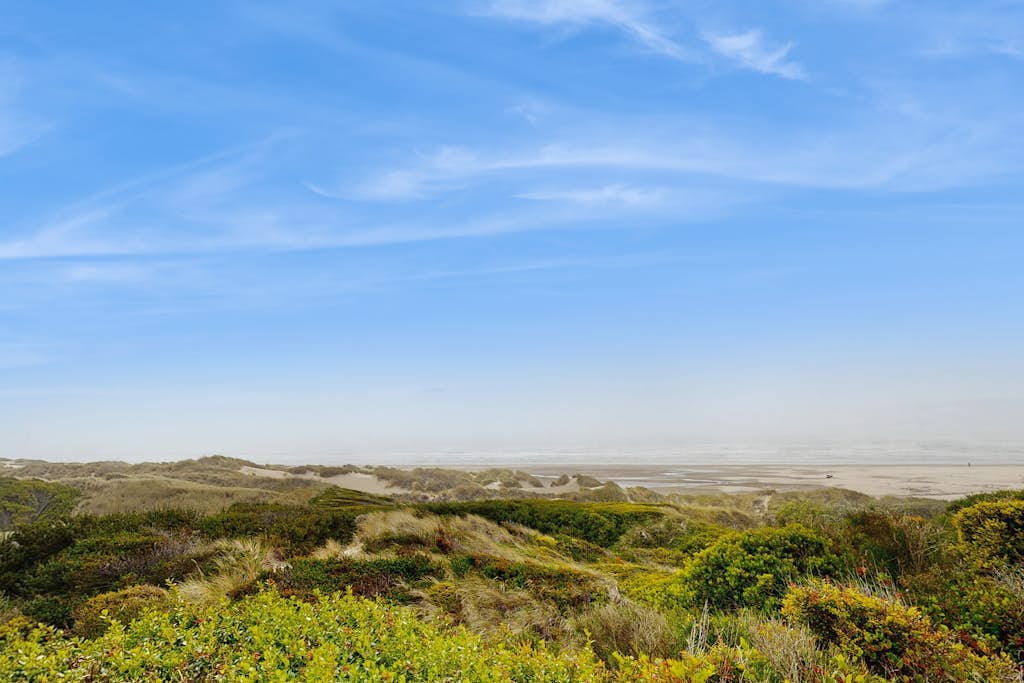 Charming Oceanfront Home with WiFi - Secluded, Yet Close to Town