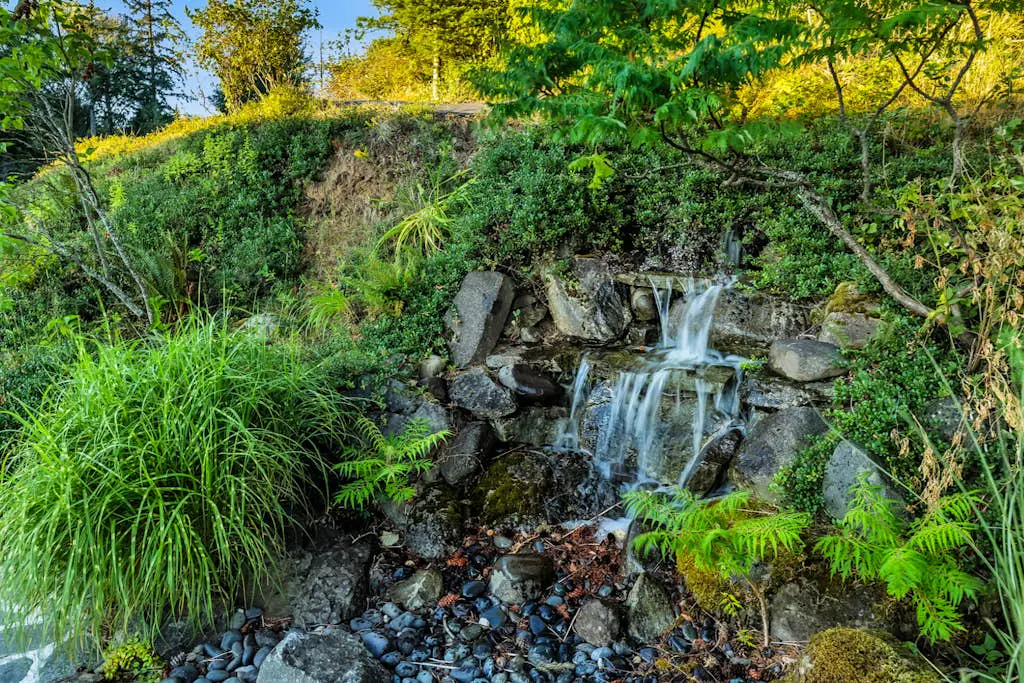 Golden Glow on the Gorge