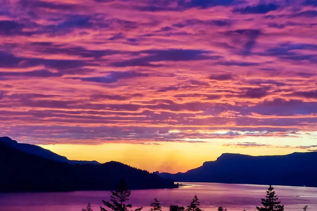 Golden Glow on the Gorge