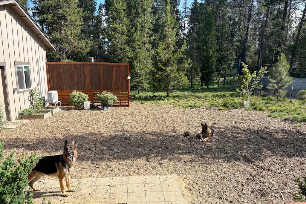 Paws & Pines Sunriver Escape