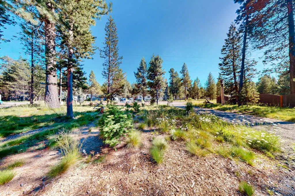 Paws & Pines Sunriver Escape