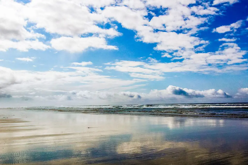 Woodland Cottage by the Sea