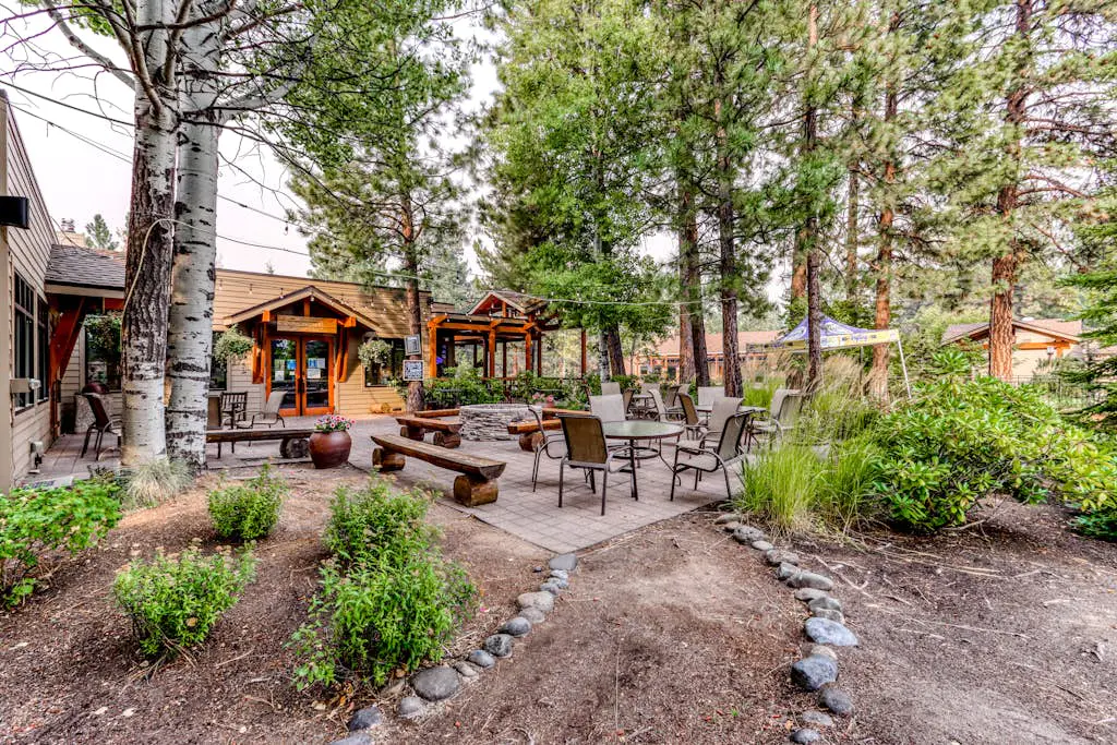 Tree Top Retreat