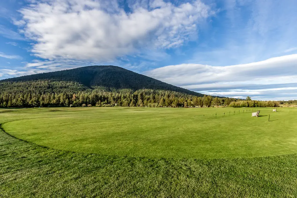 Spring Homesite #3