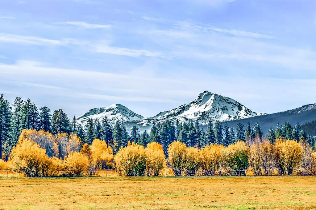 Spring Homesite #3