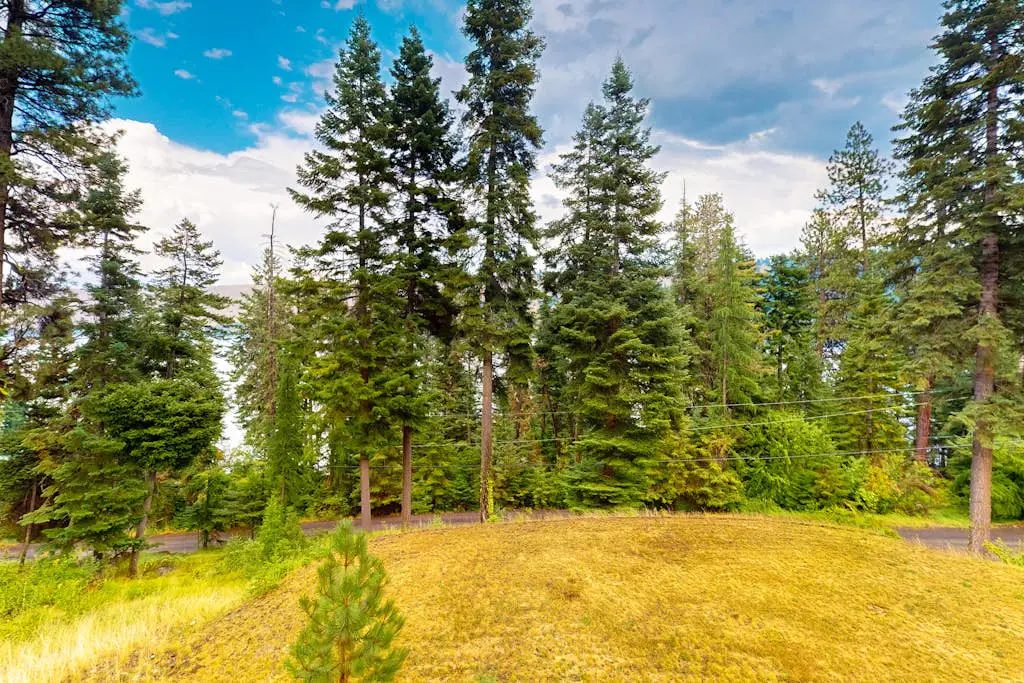 Nature's Perfect Retreat - Wallowa Lookout - Stunning Views, Cozy Comfort