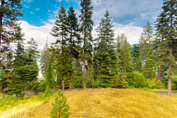 Nature’s Perfect Retreat: Wallowa Lookout - Stunning Views, Cozy Comfort