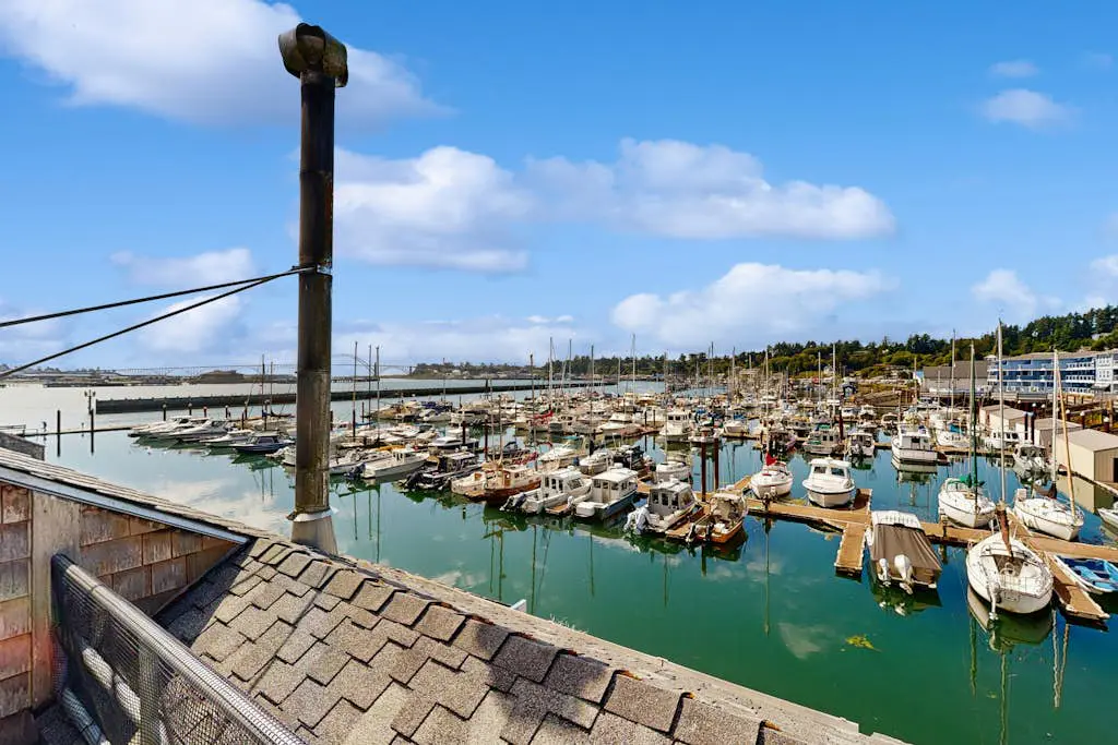 Down By The Bay  #C202