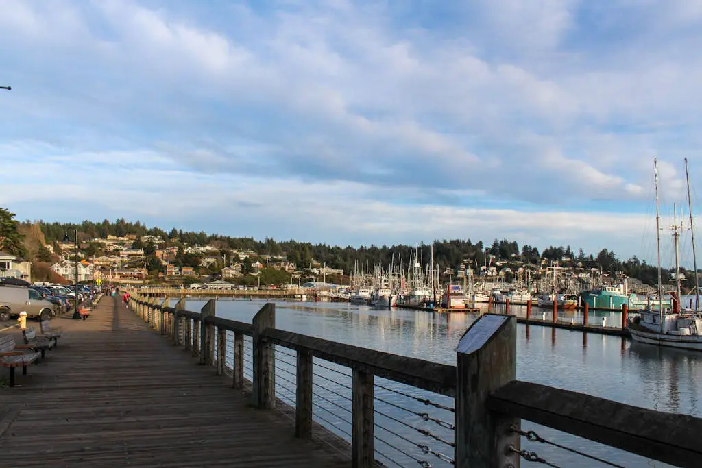 Down By The Bay  #C302