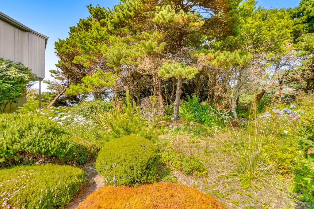 Spacious oceanfront home with free WiFi, and wrap-around deck