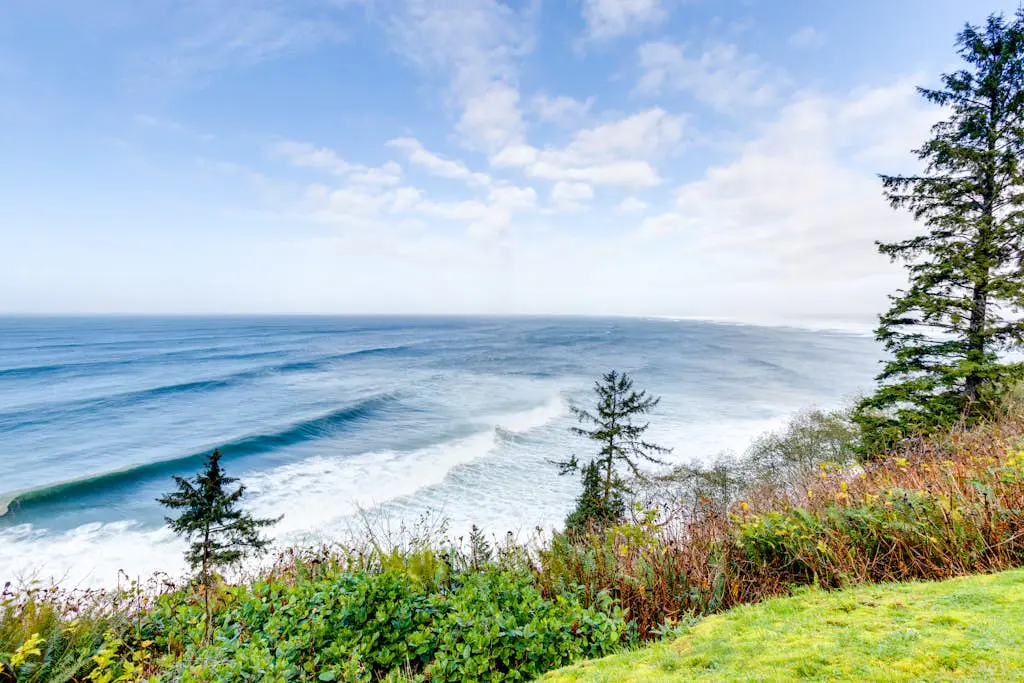 Whaler's Point