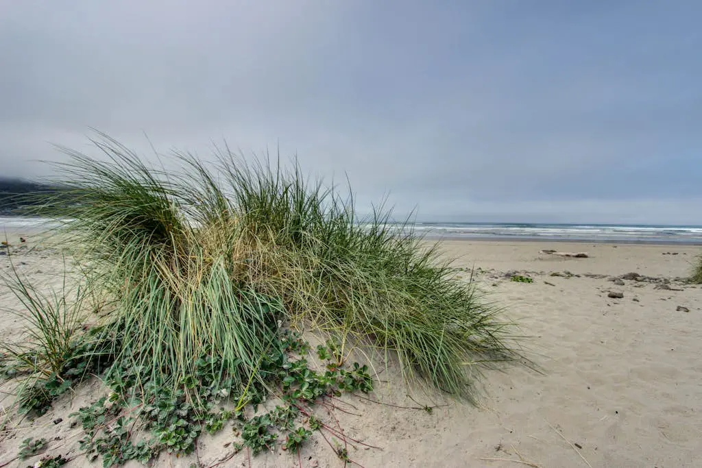 Whaler's Point